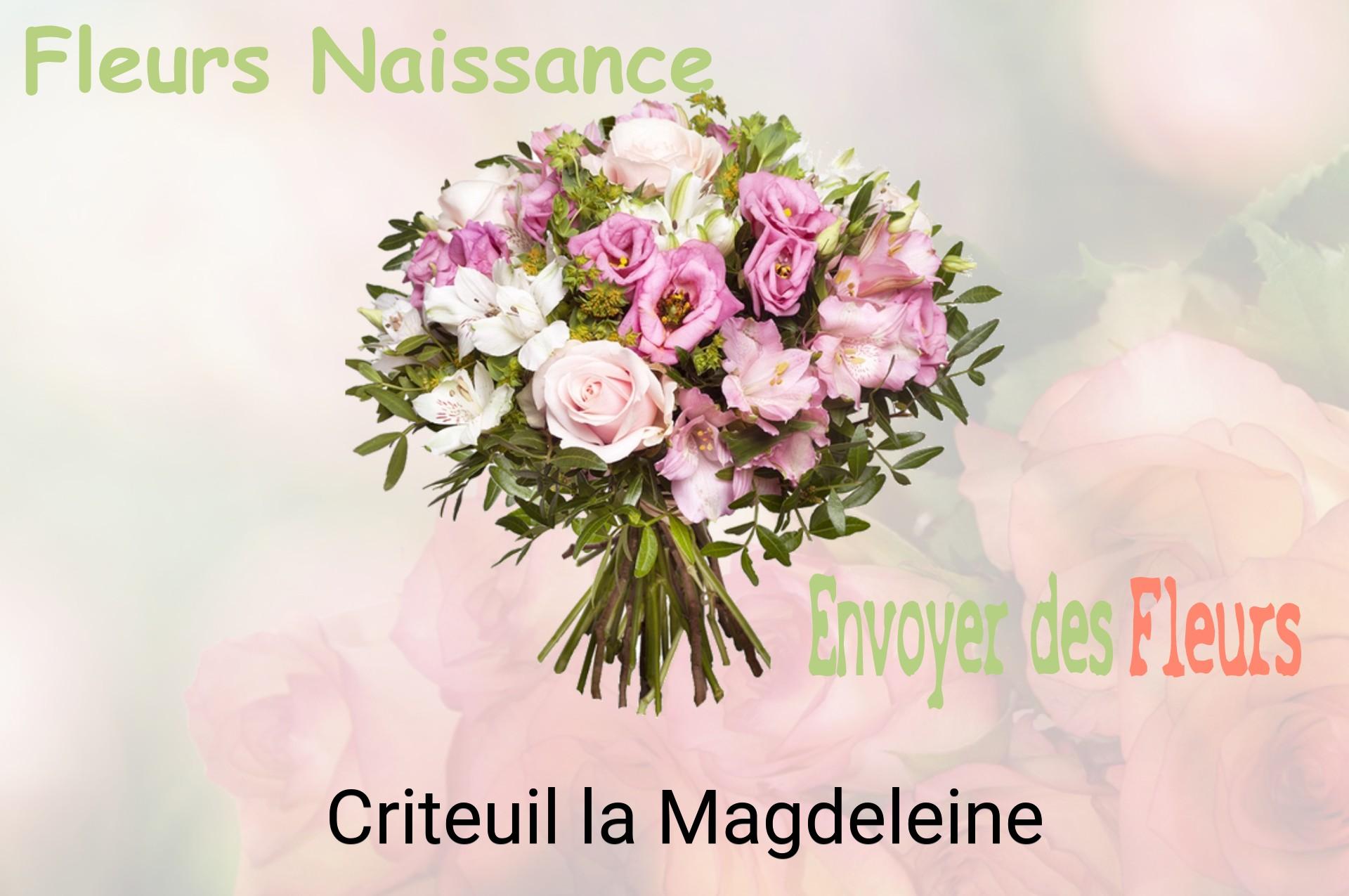 Bouquet de fleurs de naissance livré à Criteuil-la-Magdeleine